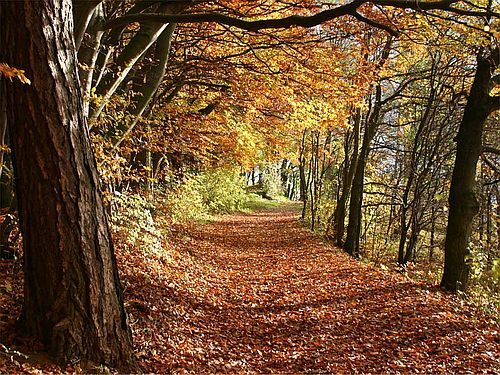 Herbst